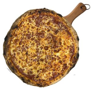 Bolognai