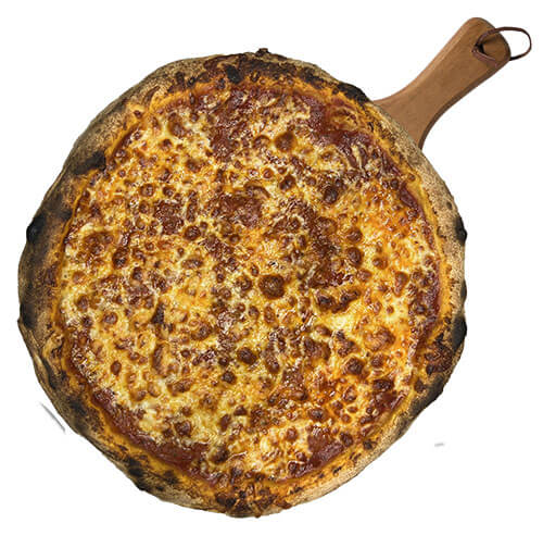 Bolognai